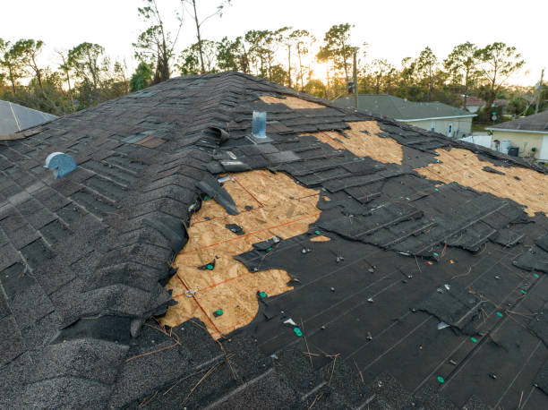 Best Metal Roofing Installation  in Atlanta, TX